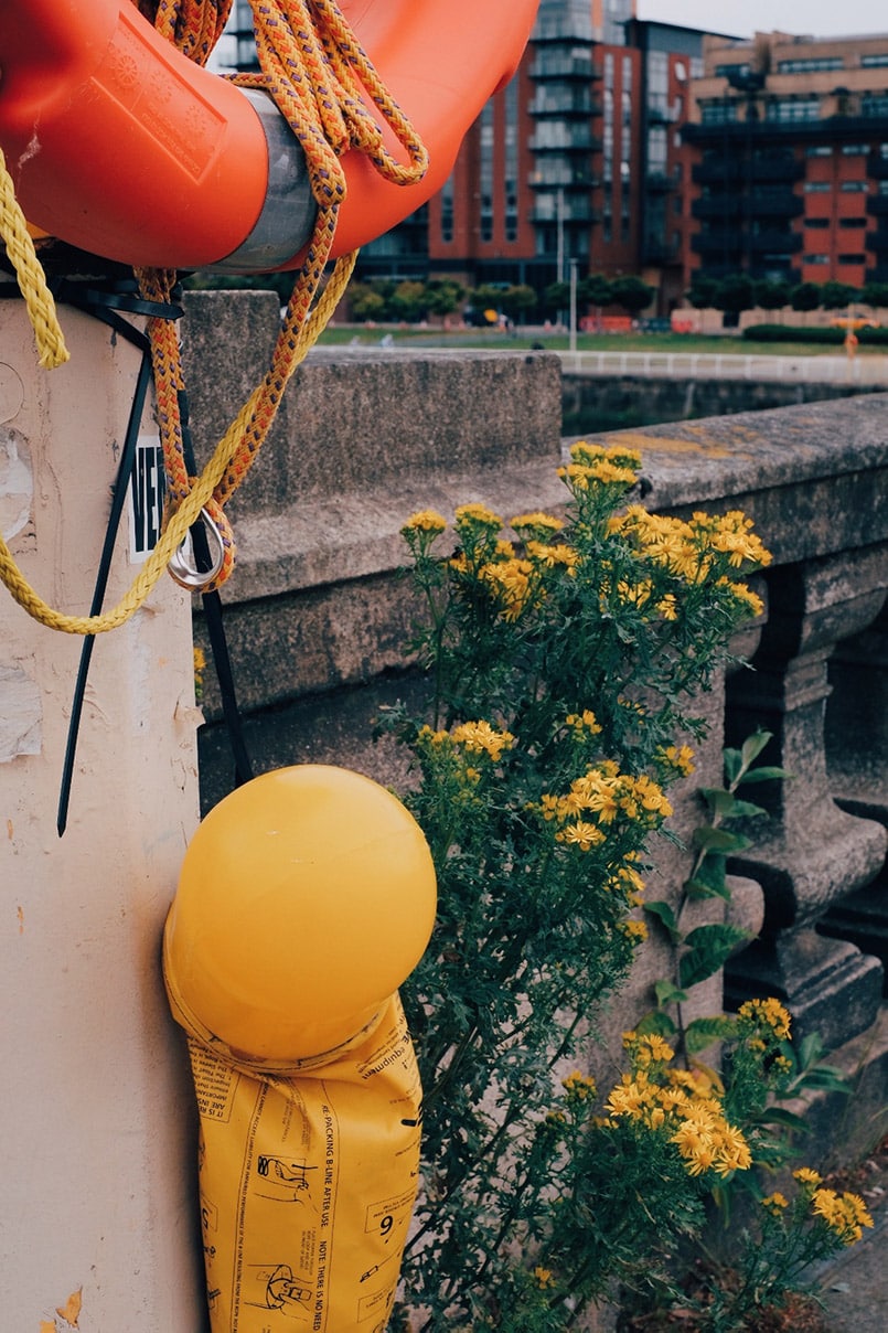 yellow flowers yellow plastic